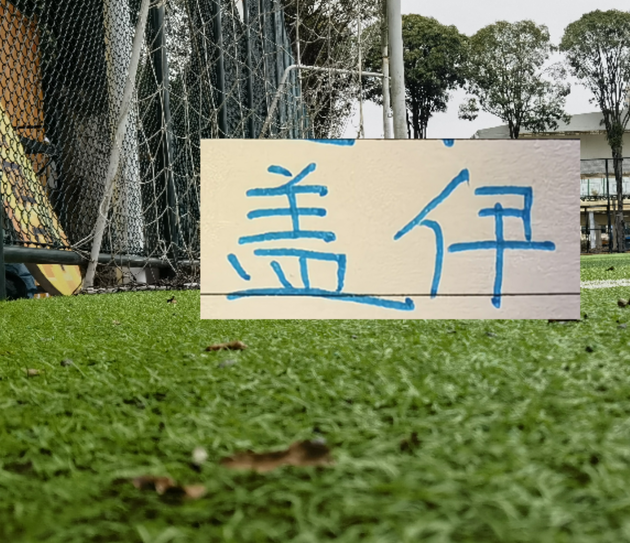 49图库官网首页-申花1米95非洲前锋已回基地